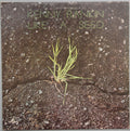 Kenny Rankin - Like A Seed