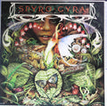 Spyro Gyra - Morning Dance