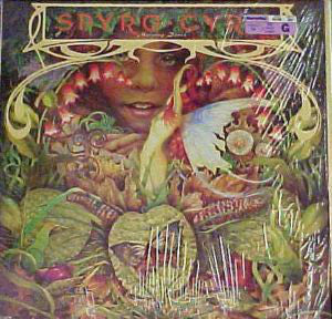 Spyro Gyra - Morning Dance