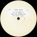 Twinhead - U Said U / We Gonna Go