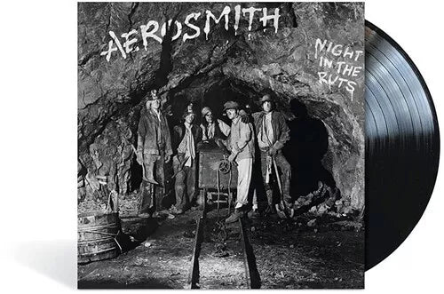 Aerosmith Night In The Ruts 180g LP