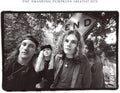 Smashing Pumpkins ROTTEN APPLES: GREATEST HITS Best Of 18 Songs NEW VINYL 2 LP