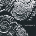 The Sundays READING, WRITING, AND ARITHMETIC New Gray Colored Vinyl Record LP