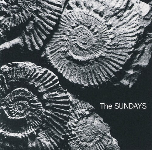 The Sundays READING, WRITING, AND ARITHMETIC New Gray Colored Vinyl Record LP