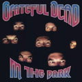 Grateful Dead In The Dark SILVER LP