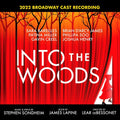 Into The Woods SOUNDTRACK 2022 BROADWAY CAST RECORDING New Colored Vinyl 2 LP