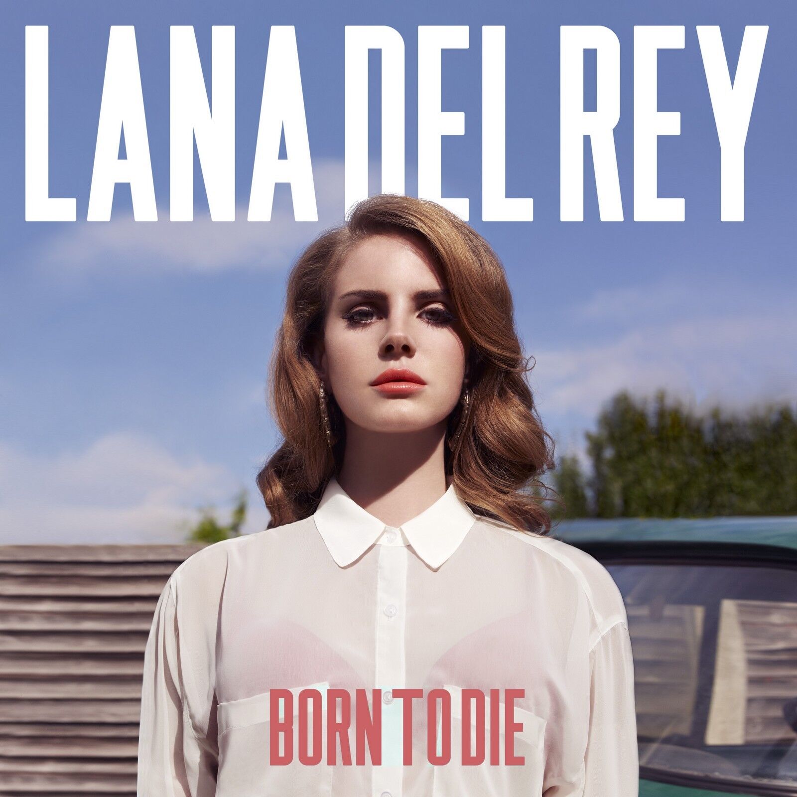 Lana Del Rey BORN TO DIE Interscope Records NEW SEALED BLACK VINYL RECORD LP
