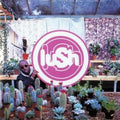 Lush Lovelife (2023 Remaster) CLEAR VINYL LP