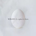 Wilco A GHOST IS BORN 20th Anniversary NEW SEALED BLACK VINYL RECORD 2 LP